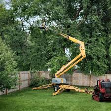 Best Tree and Shrub Care  in Rockwell Place, TX