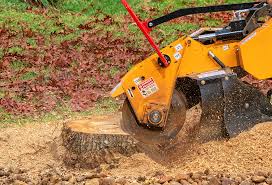 Best Tree Risk Assessment  in Rockwell Place, TX