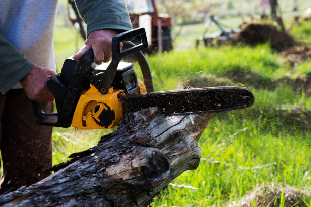 Best Storm Damage Tree Cleanup  in Rockwell Place, TX